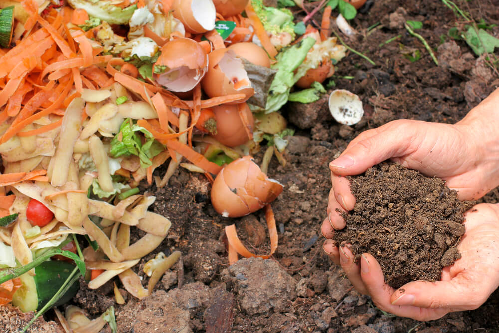 Compostable products natural joint stock 