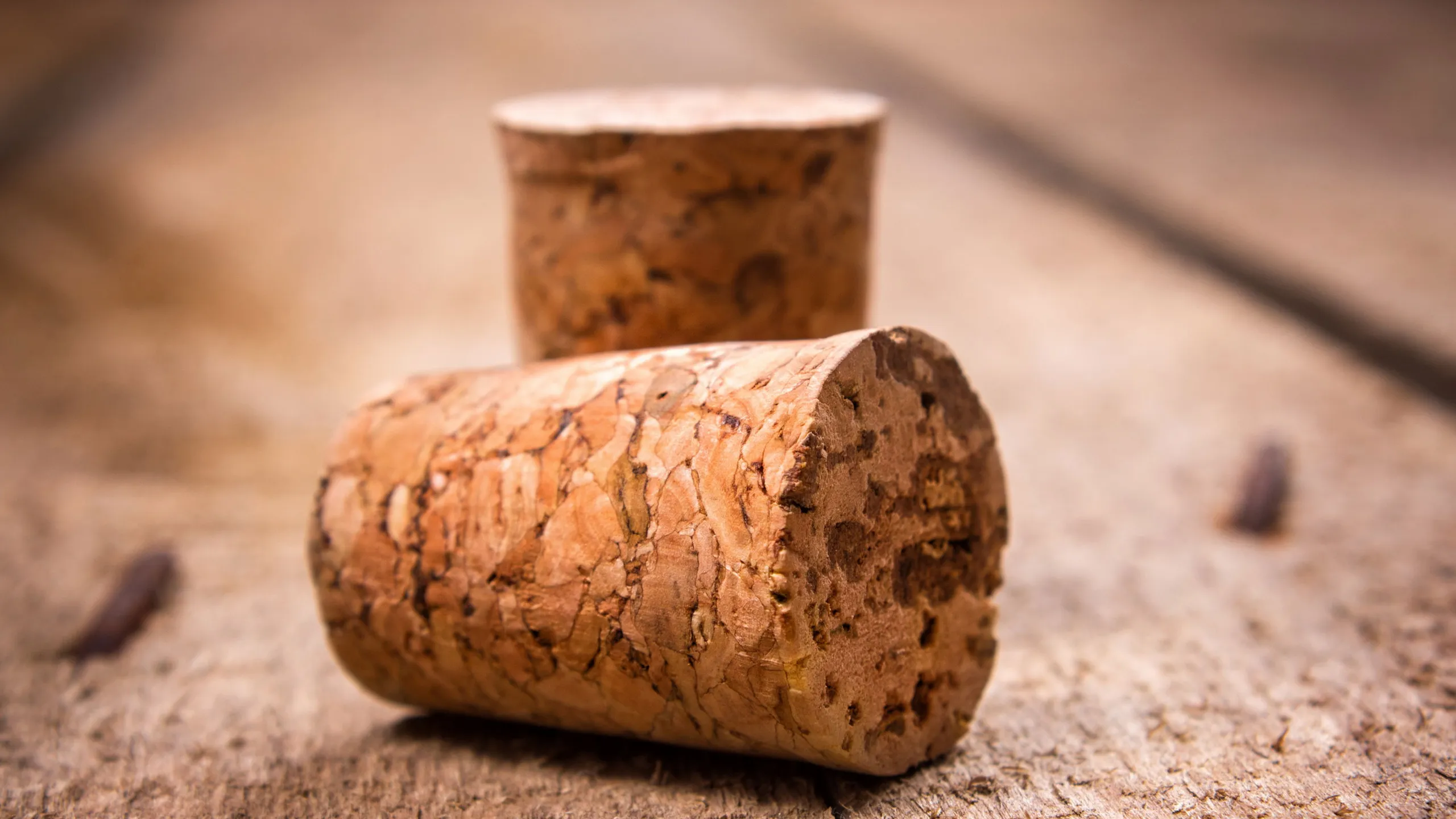 cork products eco-friendly natural joint stock