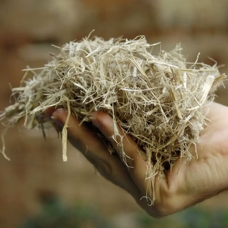 sugarcane-bagasse-products natural joint stock
