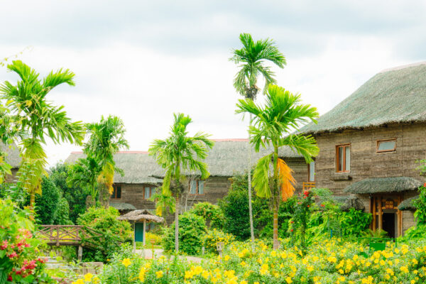 AESA AEN du lịch sinh thái njsc