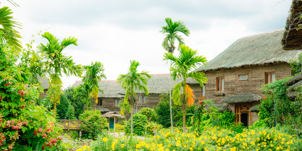 AESA AEN du lịch sinh thái njsc