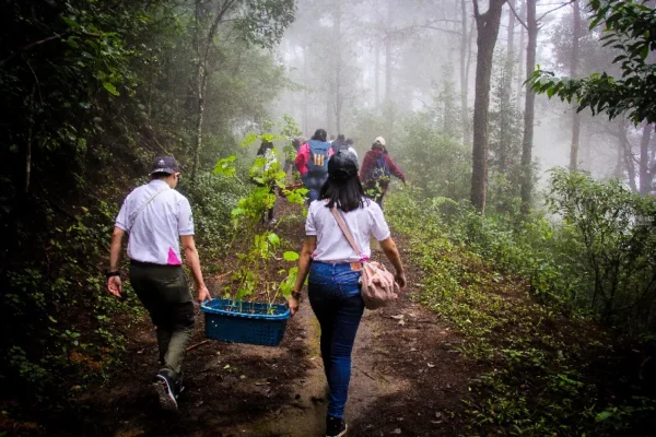GEN du lịch sinh thái njsc