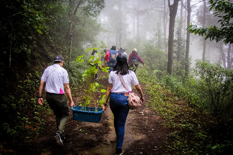 GEN du lịch sinh thái njsc 