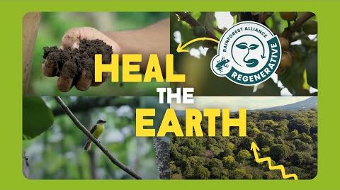 rainforest alliance sustainable njsc