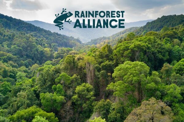 rainforest alliance rừng bền vững njsc