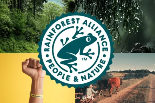 rainforest alliance bền vững njsc