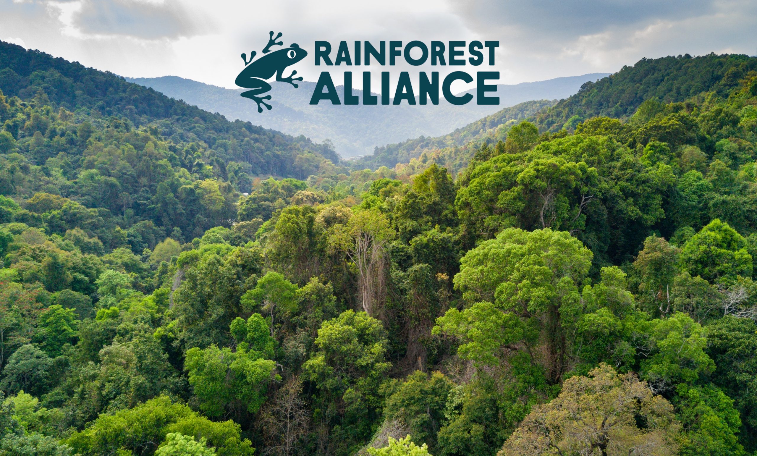rainforest alliance rừng bền vững njsc