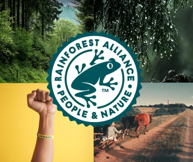 rainforest alliance bền vững njsc