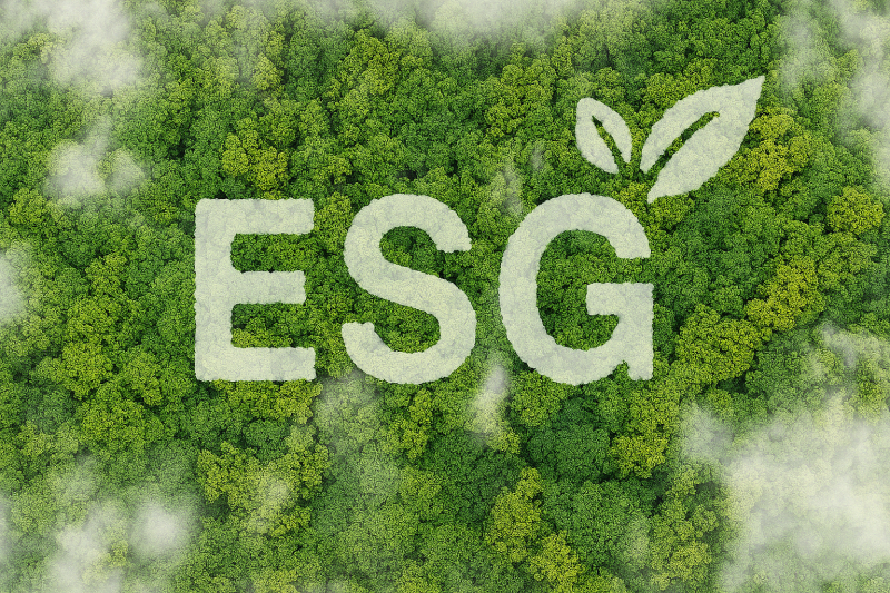 esg environmental sustainable njsc