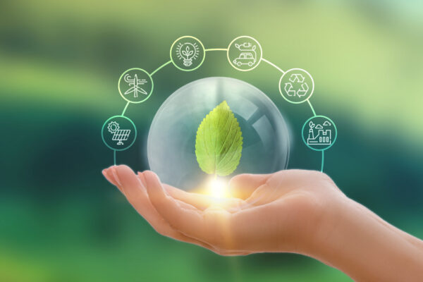 esg sustainable tourism njsc