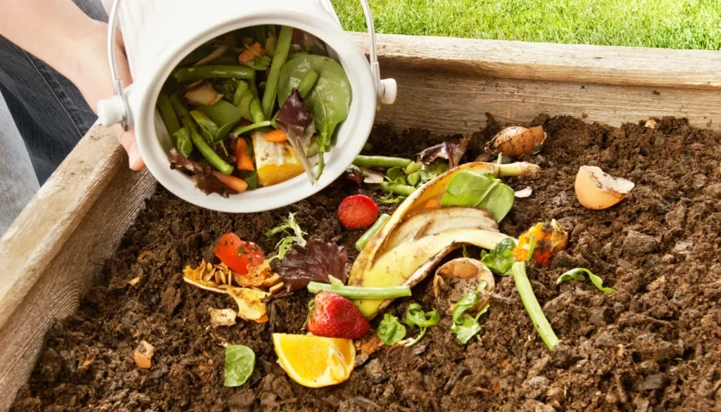 ok compost biodegradable njsc