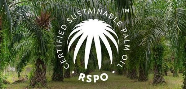 RSPO sustainable palm oil njsc