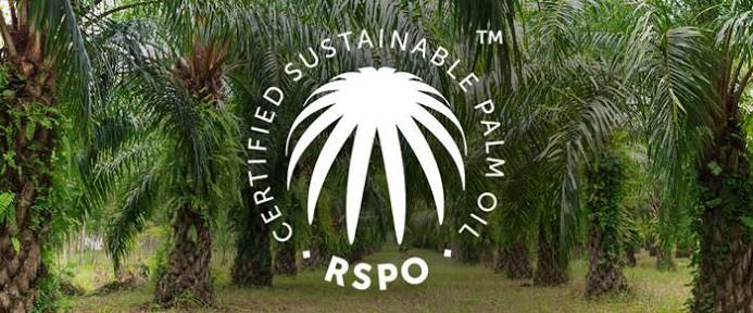 RSPO sustainable palm oil njsc