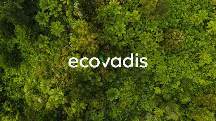 ecovadis sustainable njsc