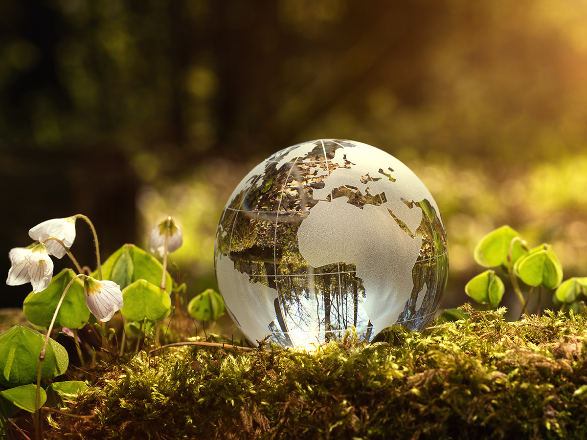 ecovadis sustainable njsc