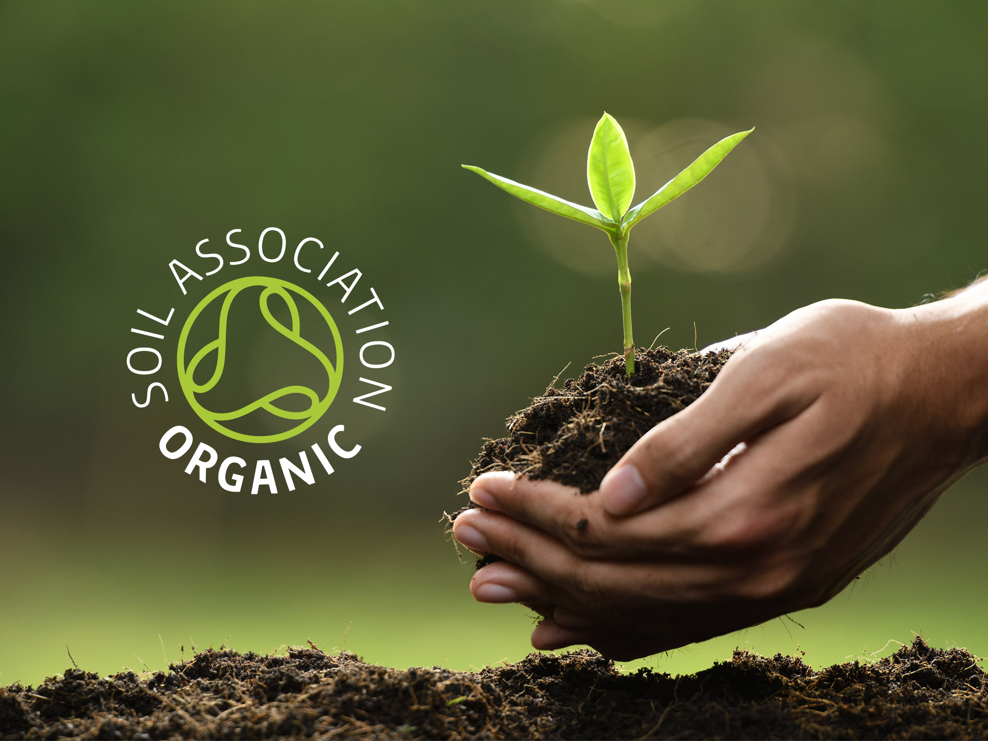 soil association cosmos natural cosmetics njsc