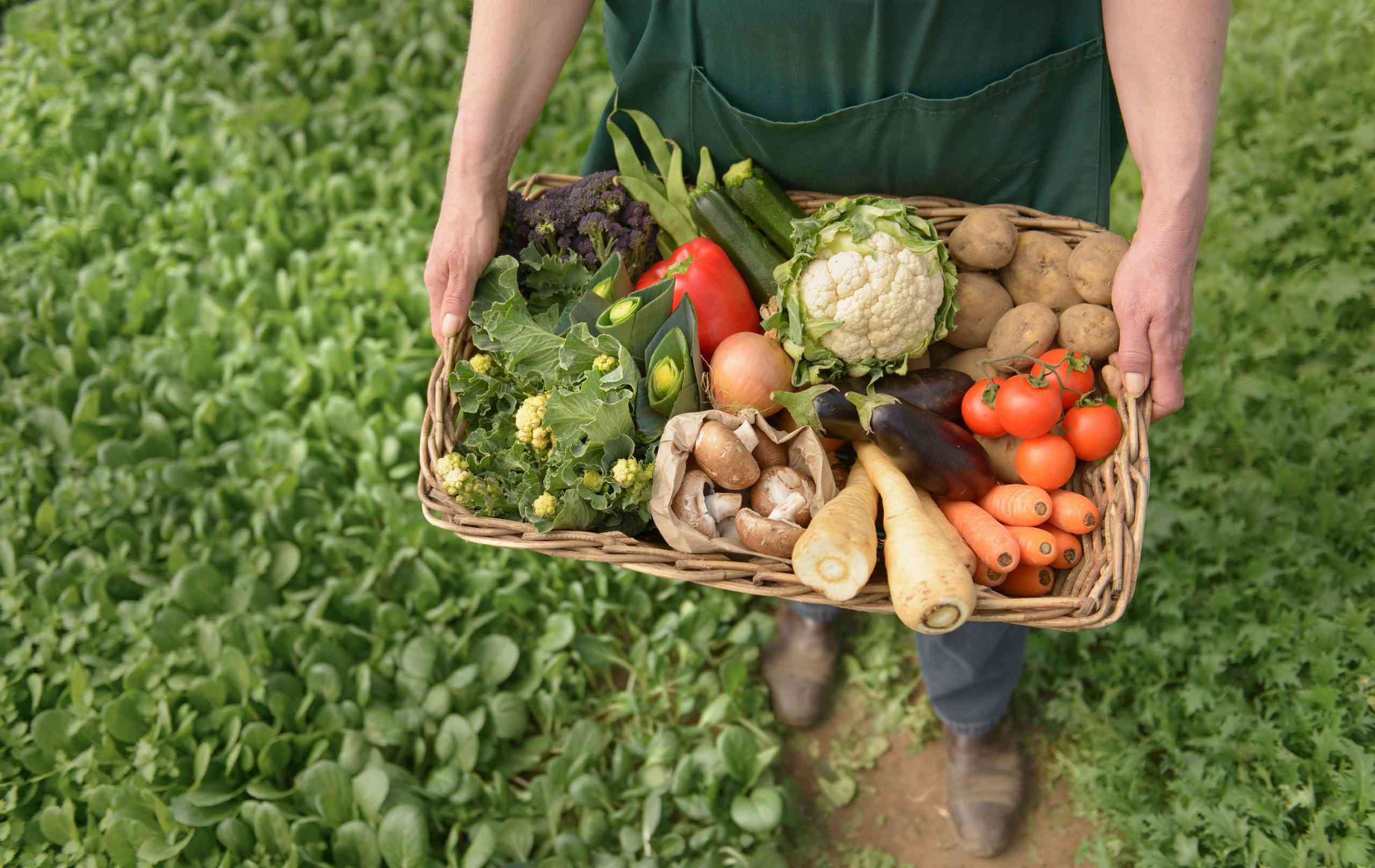 usda organic njsc