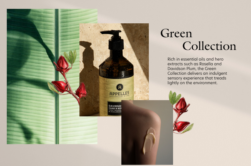 appelles hotel collection njsc